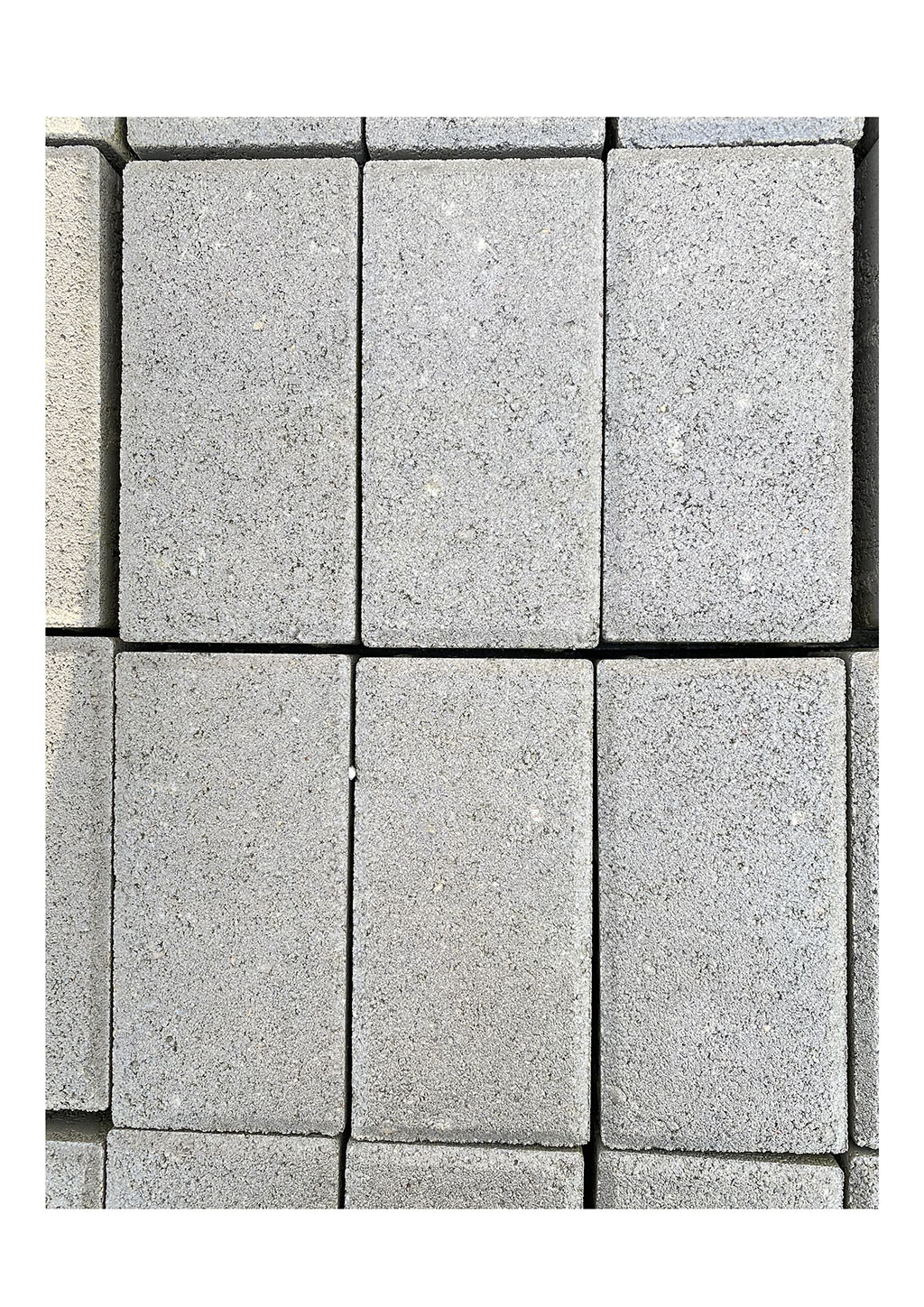 Pavé GRIS BETON 10×20